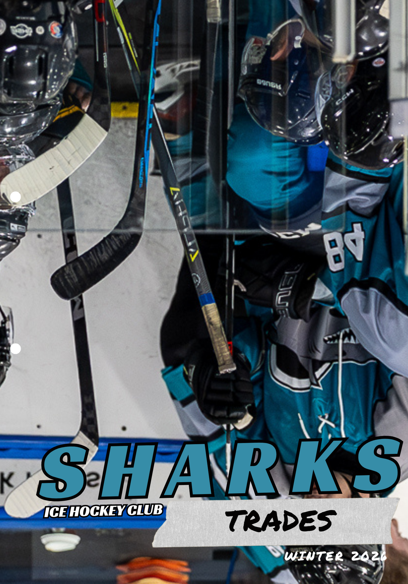 Sharks Hockey